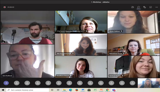 Group of participants in online meeting